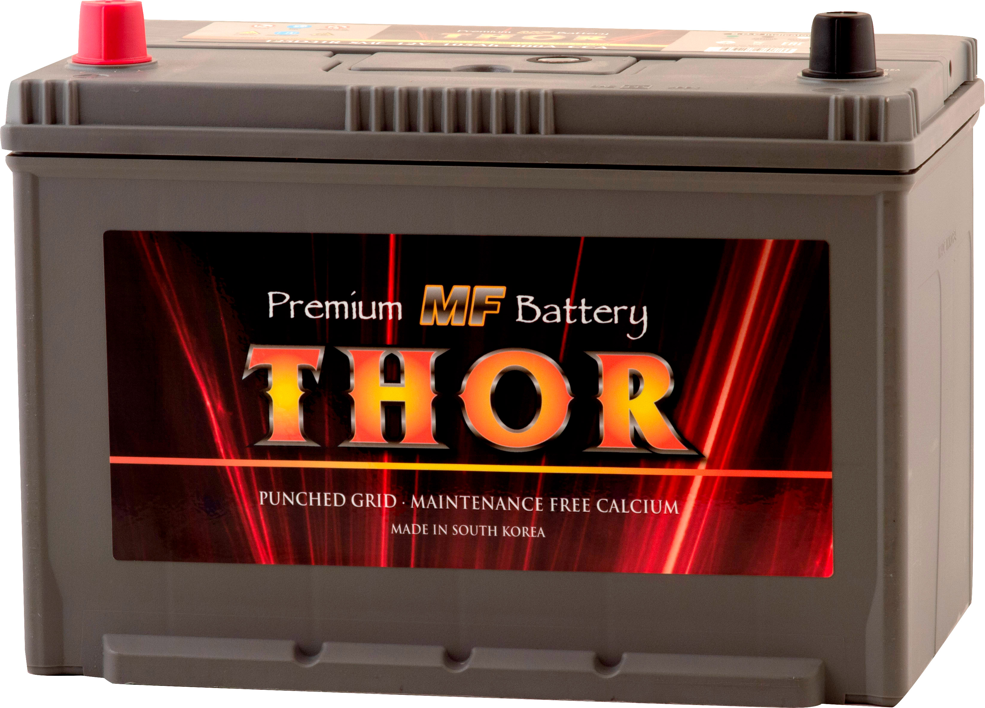 SIMPLEАКБTHORAsia6ст-105(п.п.)900А303*175*220(125D31RSMF)